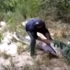 A man slicing open the snake. (YouTube)