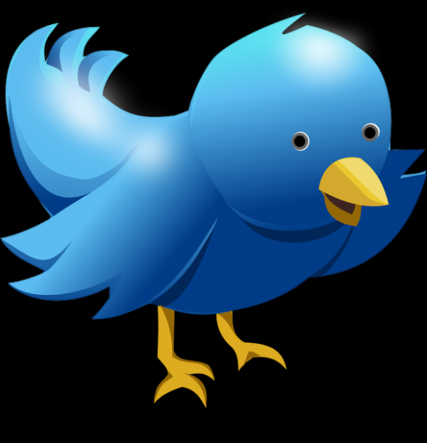 Twitter’s COO Adam Bain has left the company. (Pixabay)