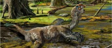 This new bird-like dinosaur species known as the 