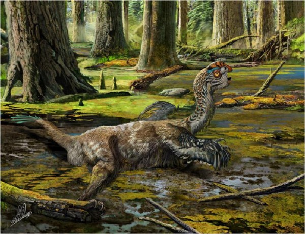 This new bird-like dinosaur species known as the "mud dragon" was discovered at a construction site in China. (Zhao Chuang)