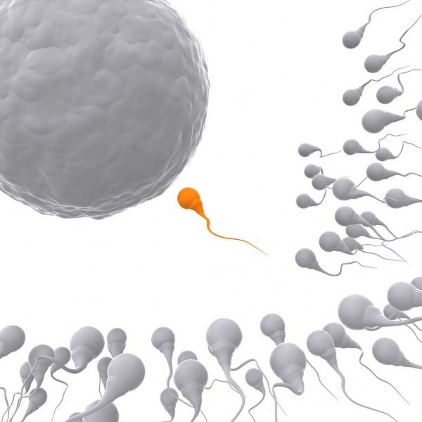 A fertility doctor has been sued in Canada for using his sperm to impregnate two women. (Flickr)