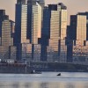A whale was seen swimming around the Hudson River in New York last week. (Marko Georgiev/Facebook)
